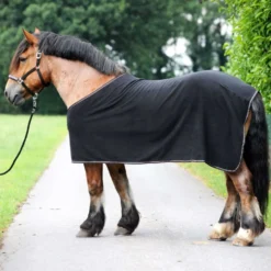 Kavalkade Fleece Cooler Kaltblut-Ecoline Navy