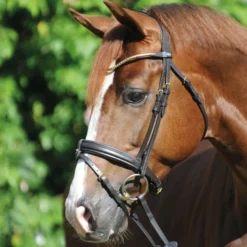 Kavalkade Trenshoofdstel Clinchesse Bruin/Messing