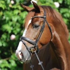 Kavalkade Trenshoofdstel Clinchesse Bruin/Zilver
