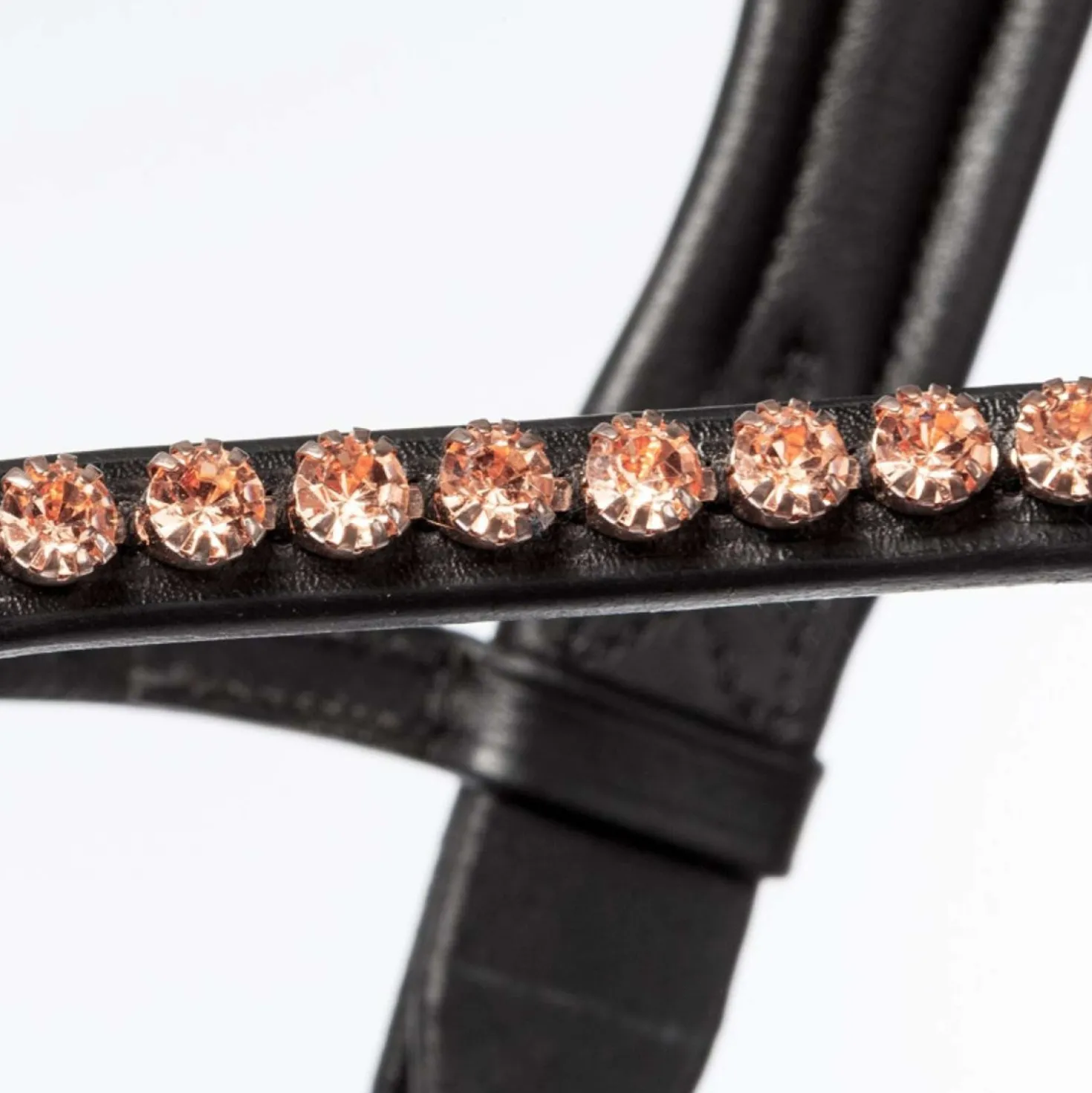 Kavalkade Trenshoofdstel Rose Zwart