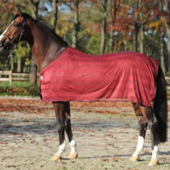 Kavalkade Vliegendeken Stripe Bordeaux