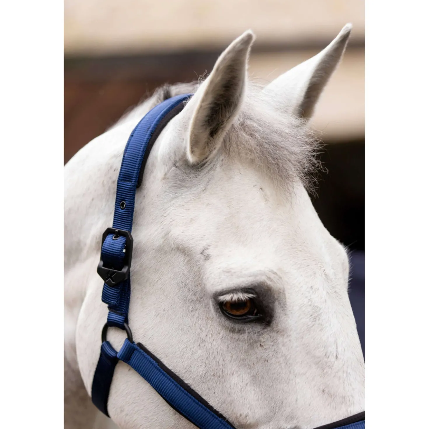 K by EQUITHÈME Halster Triton Koningsblauw