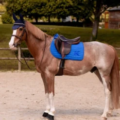 K by EQUITHÈME Zadeldekje Triton Springen Koningsblauw