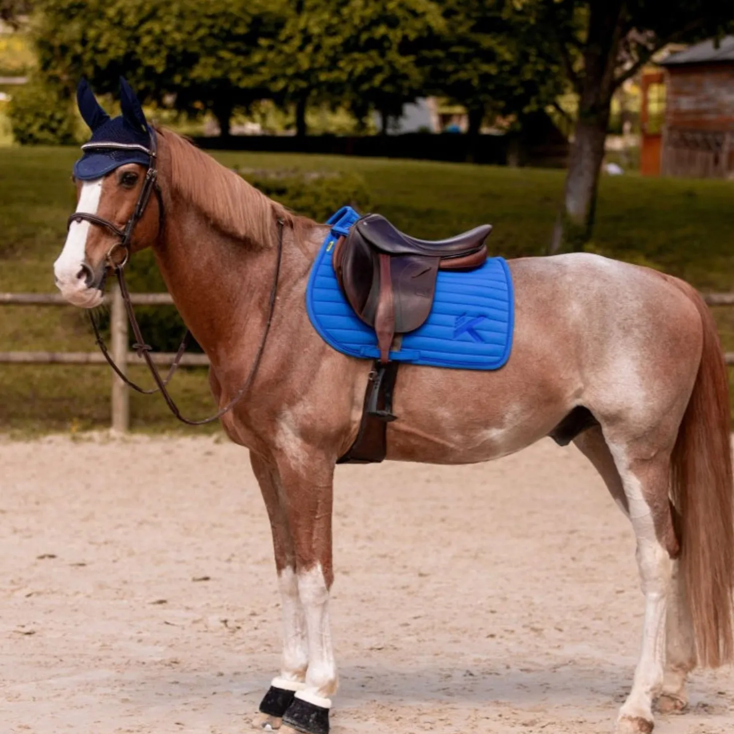 K by EQUITHÈME Zadeldekje Triton Springen Koningsblauw