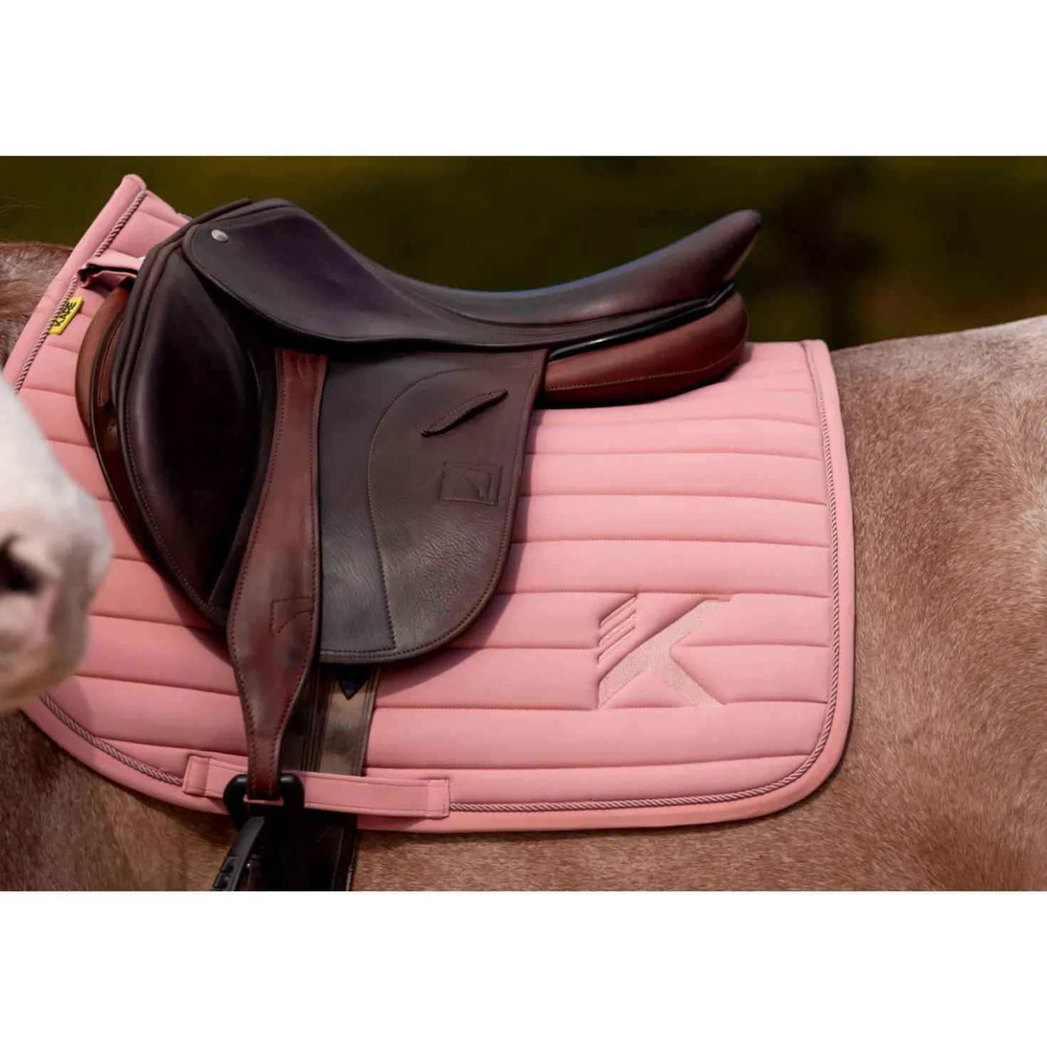 K by EQUITHÈME Zadeldekje Triton Springen Roze
