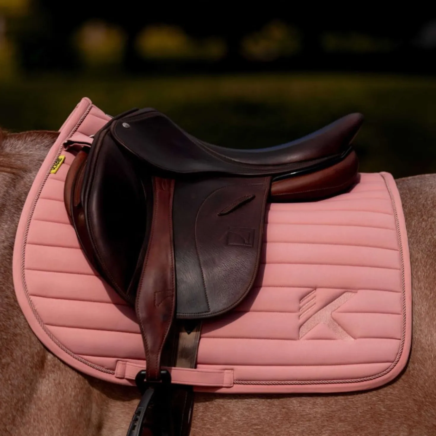K by EQUITHÈME Zadeldekje Triton Springen Roze