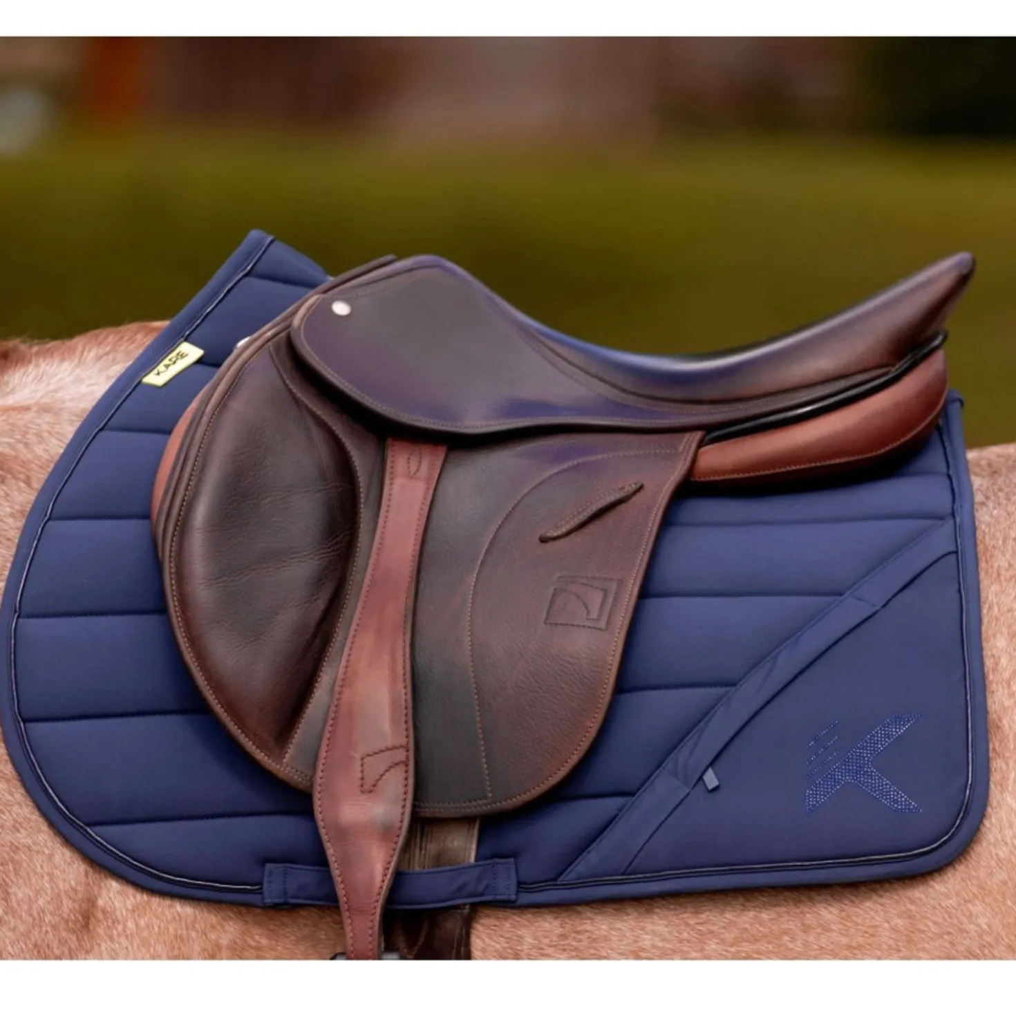 K by EQUITHÈME Zadeldekje Vega Veelzijdigheid Navy