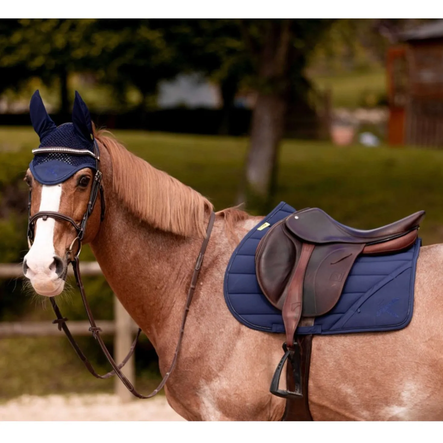 K by EQUITHÈME Zadeldekje Vega Veelzijdigheid Navy
