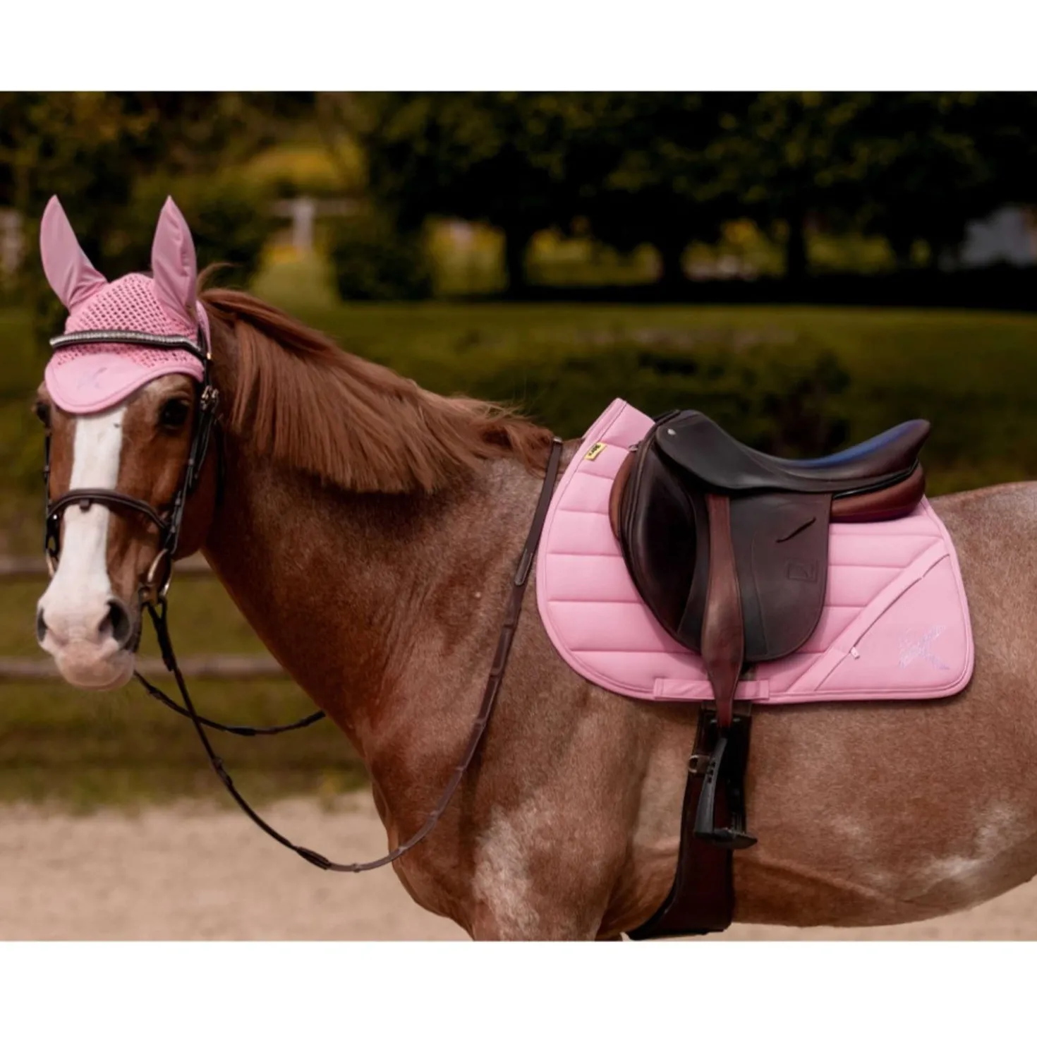 K by EQUITHÈME Zadeldekje Vega Veelzijdigheid Roze
