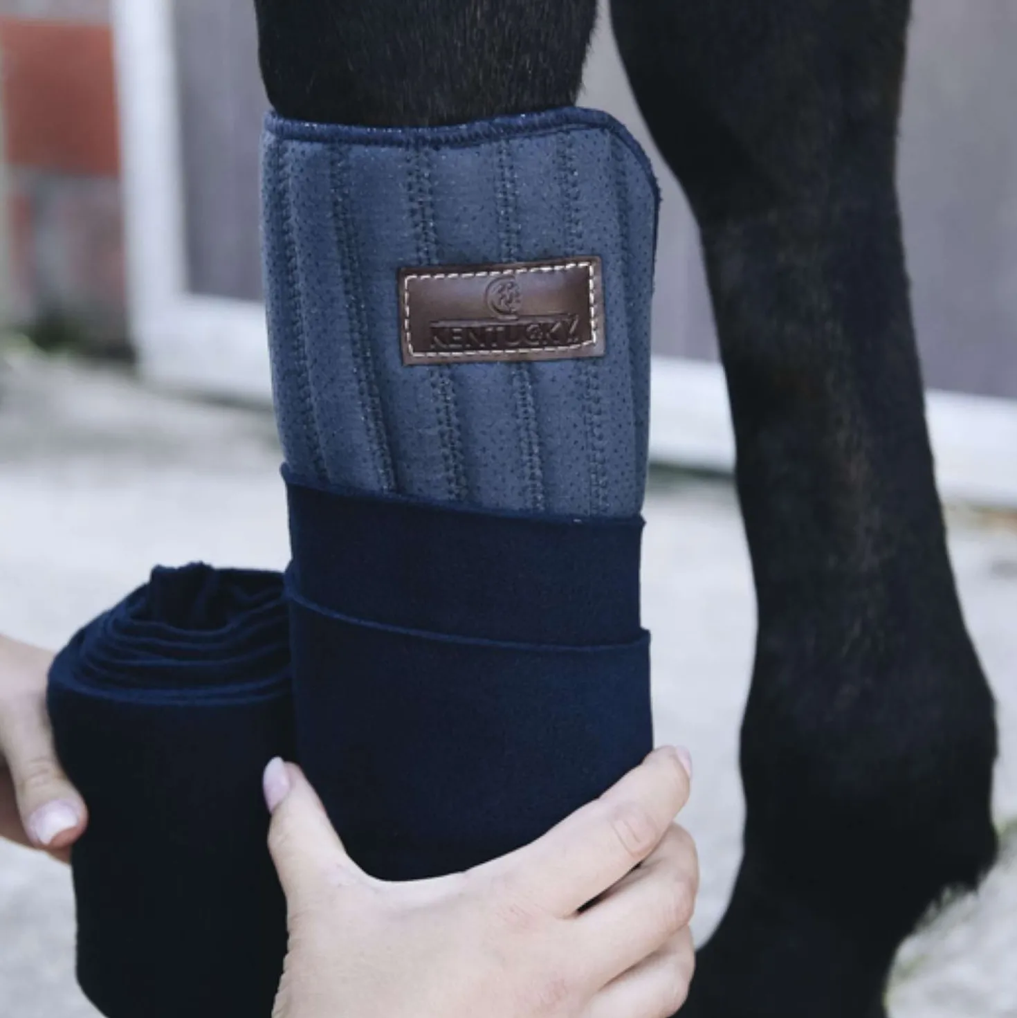 Kentucky Bandage Pad Absorb Navy
