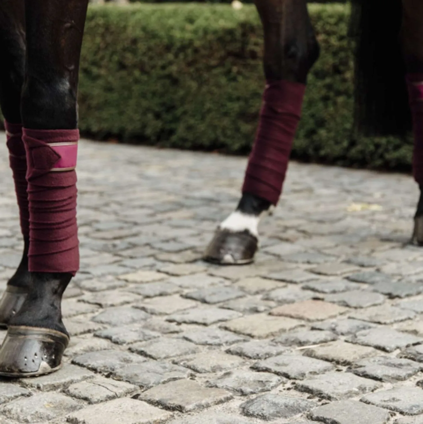 Kentucky Bandages Polar Fleece Bordeaux