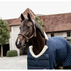 Kentucky Bib Winter Navy