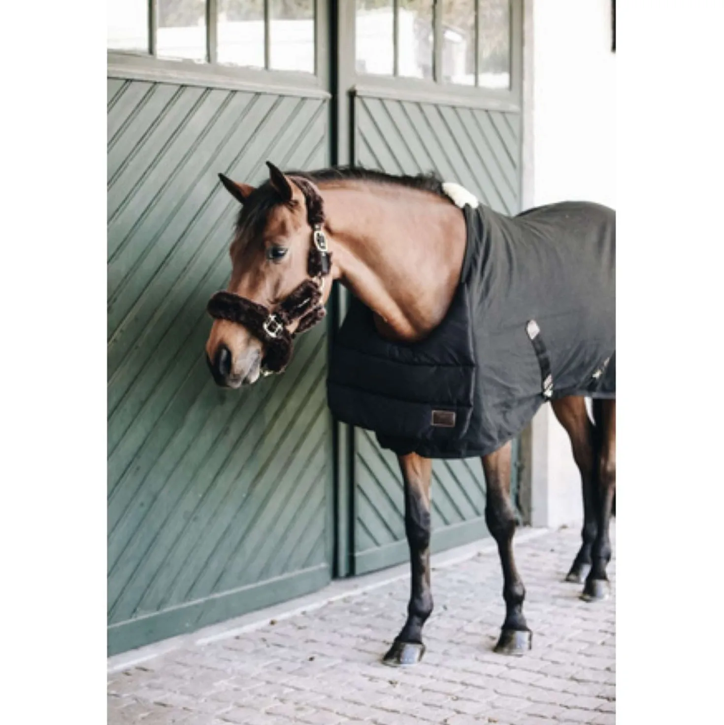 Kentucky Bib Zomer Black