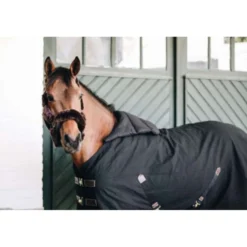 Kentucky Bib Zomer Black