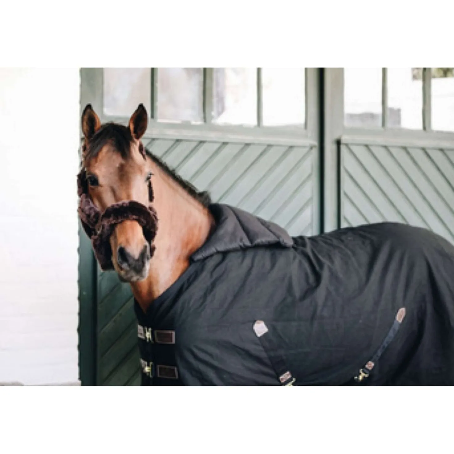 Kentucky Bib Zomer Black