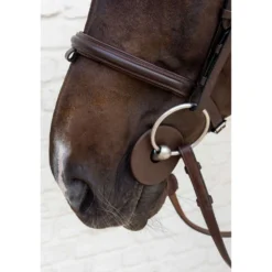 Kentucky Bitringen Bit Guard Bruin