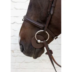 Kentucky Bitringen Bit Guard Bruin