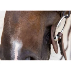 Kentucky Bitringen Bit Ring Bruin