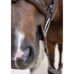 Kentucky Bitringen Bit Ring Bruin
