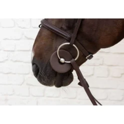 Kentucky Bitringen Bit Ring Bruin