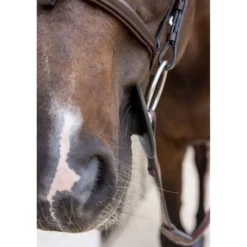 Kentucky Bitringen Bit Ring Zwart