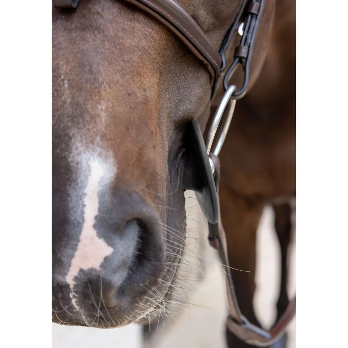 Kentucky Bitringen Bit Ring Zwart