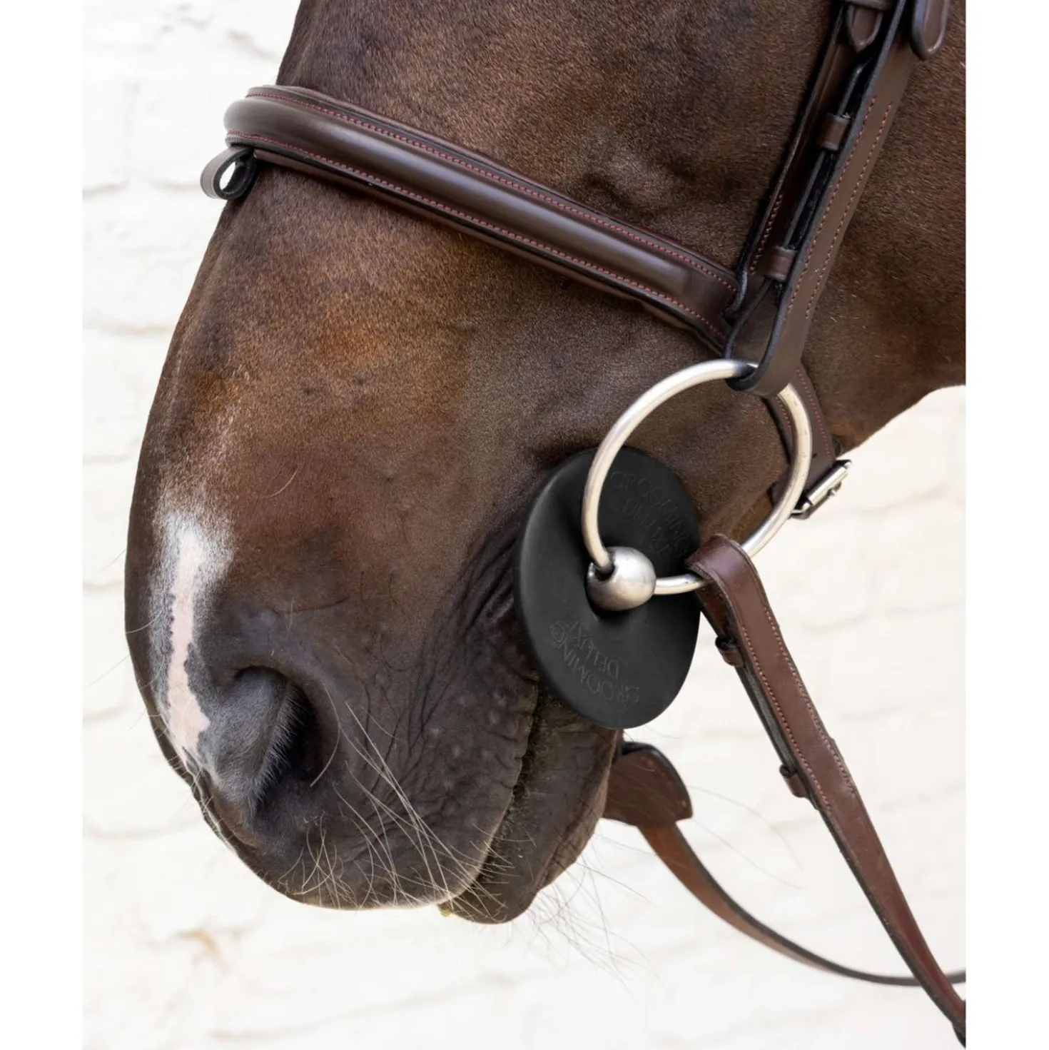 Kentucky Bitringen Bit Ring Zwart