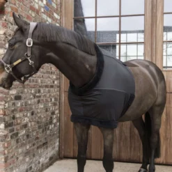 Kentucky Borstbeschermer Zwart