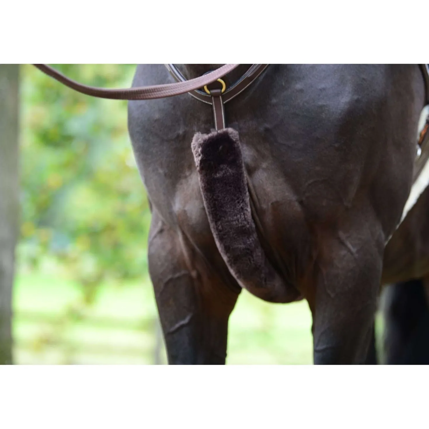 Kentucky Borsttuig Hoes Sheepskin Brown
