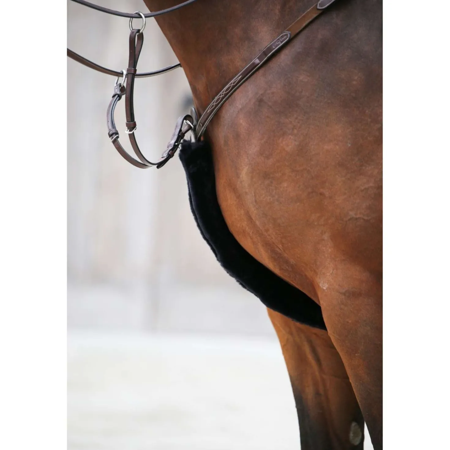 Kentucky Borsttuig Hoes Sheepskin Black