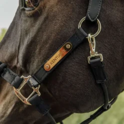 Kentucky Control Halster Nylon Black