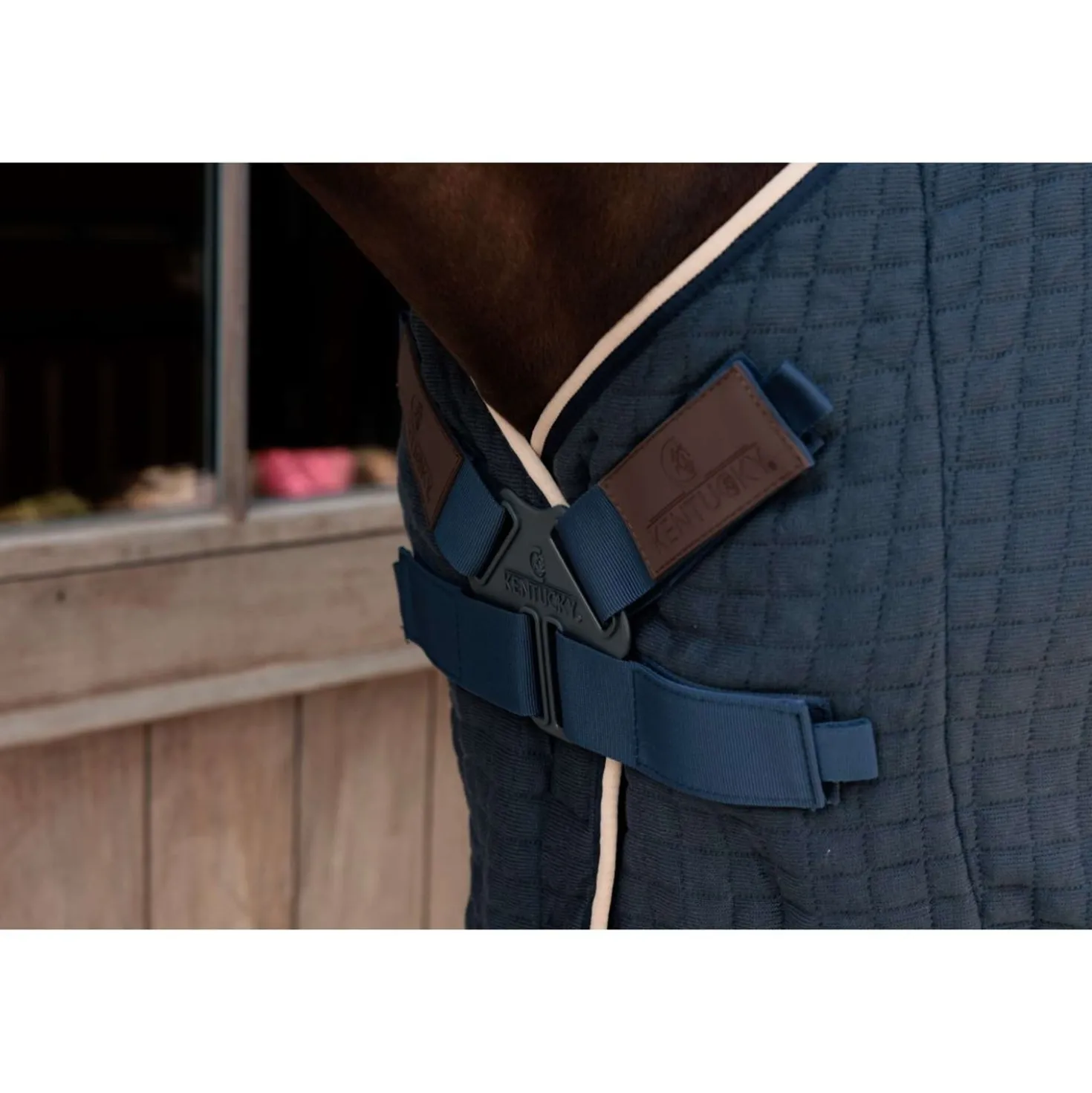 Kentucky Cooler PROTherm Navy