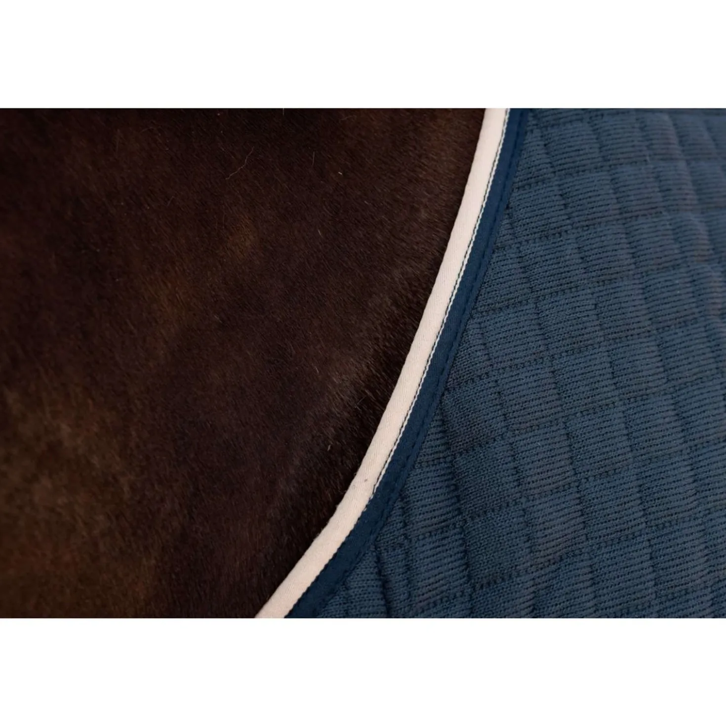 Kentucky Cooler PROTherm Navy