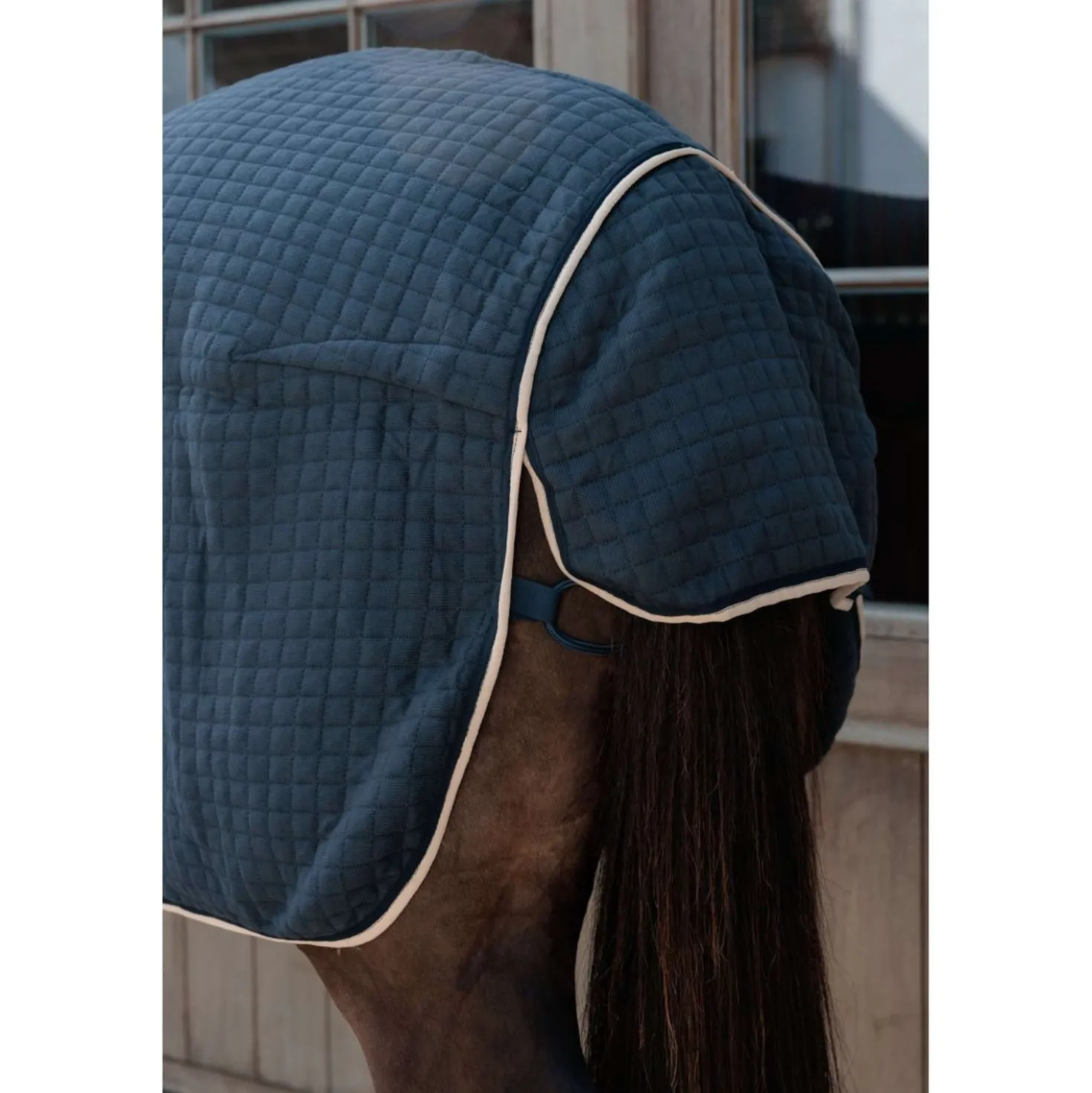 Kentucky Cooler PROTherm Navy