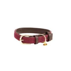 Kentucky Halsband Plaited Nylon Bordeaux