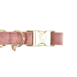 Kentucky Halsband Velvet Old Rose