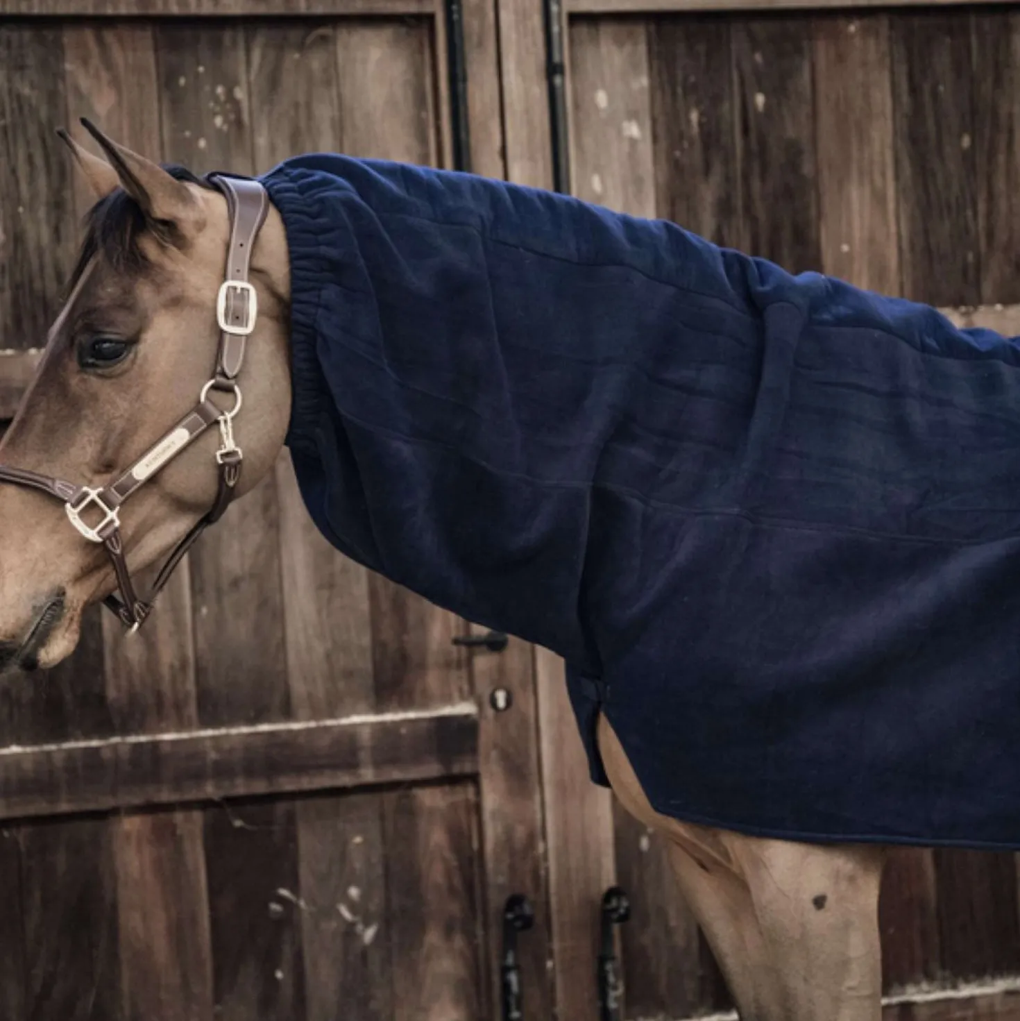 Kentucky Hals Heavy Fleece Navy