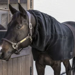 Kentucky Hals Heavy Fleece Zwart