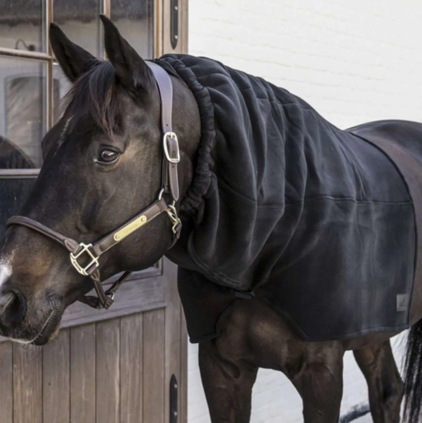 Kentucky Hals Heavy Fleece Zwart