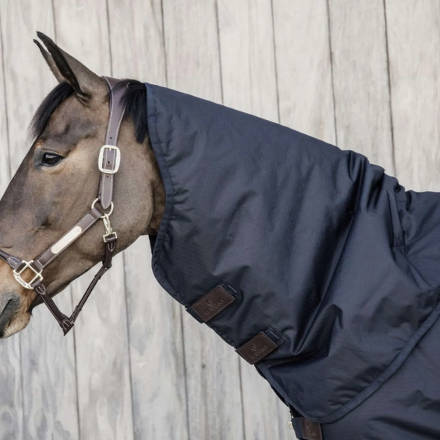 Kentucky Halsstuk All Weather Waterproof Classic 150g Navy