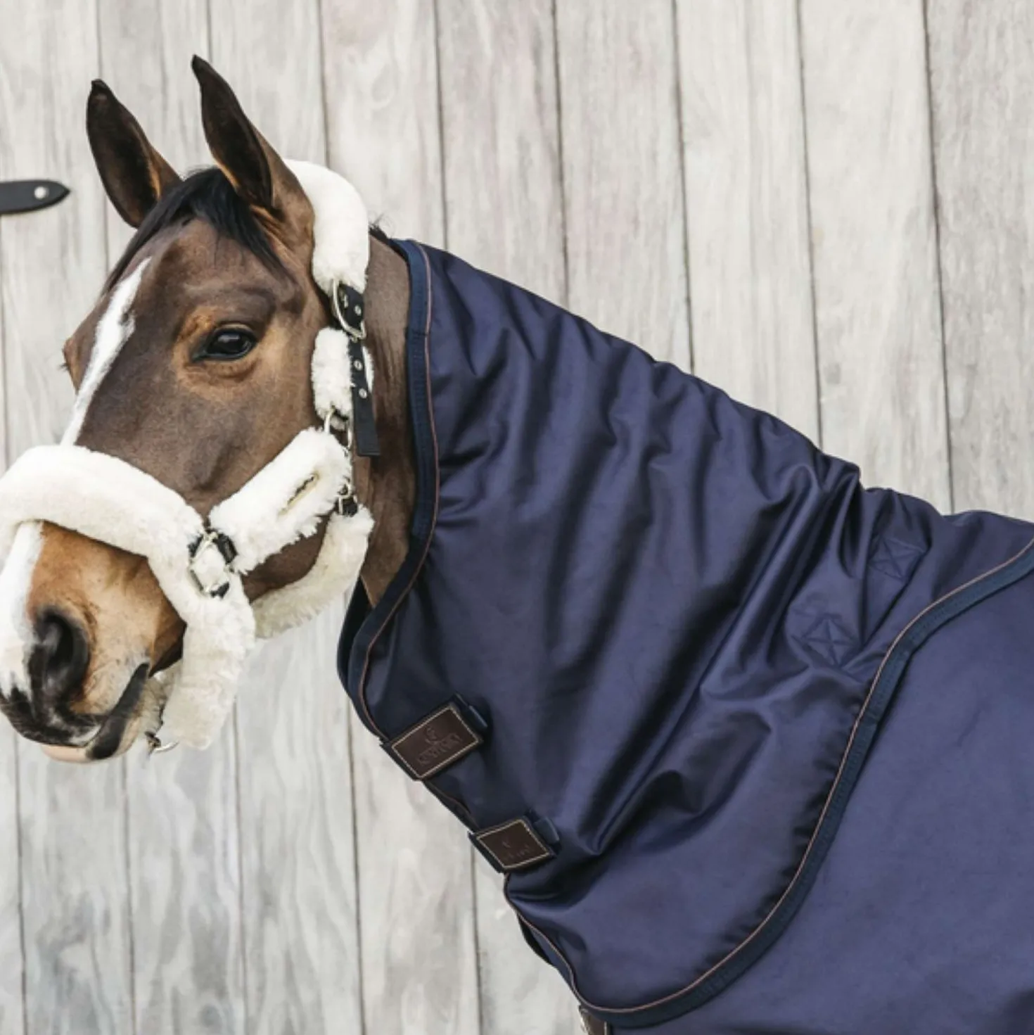 Kentucky Halsstuk All Weather Waterproof Pro 0g Navy