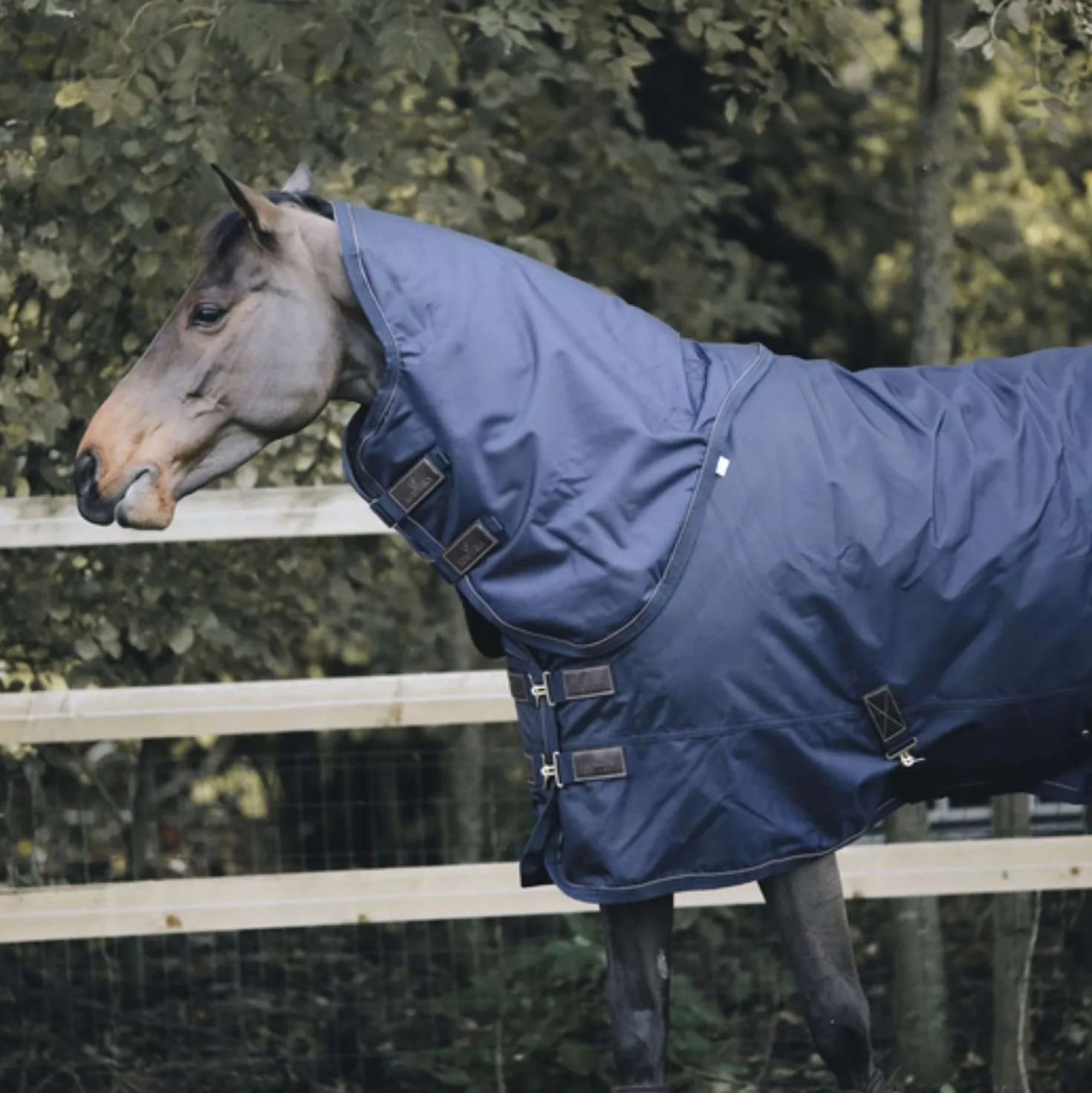 Kentucky Halsstuk All Weather 150g Navy