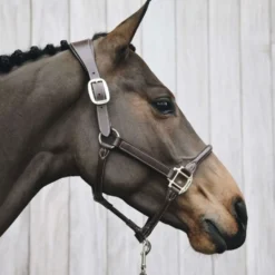 Kentucky Halster Anatomisch Leer Bruin