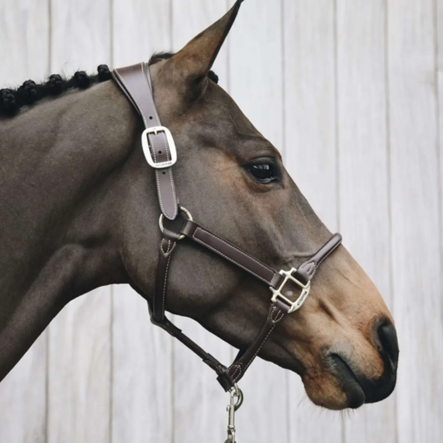 Kentucky Halster Anatomisch Leer Bruin