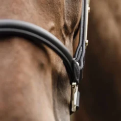 Kentucky Halster Anatomisch Leer Zwart