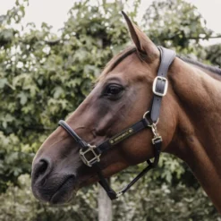 Kentucky Halster Anatomisch Leer Zwart