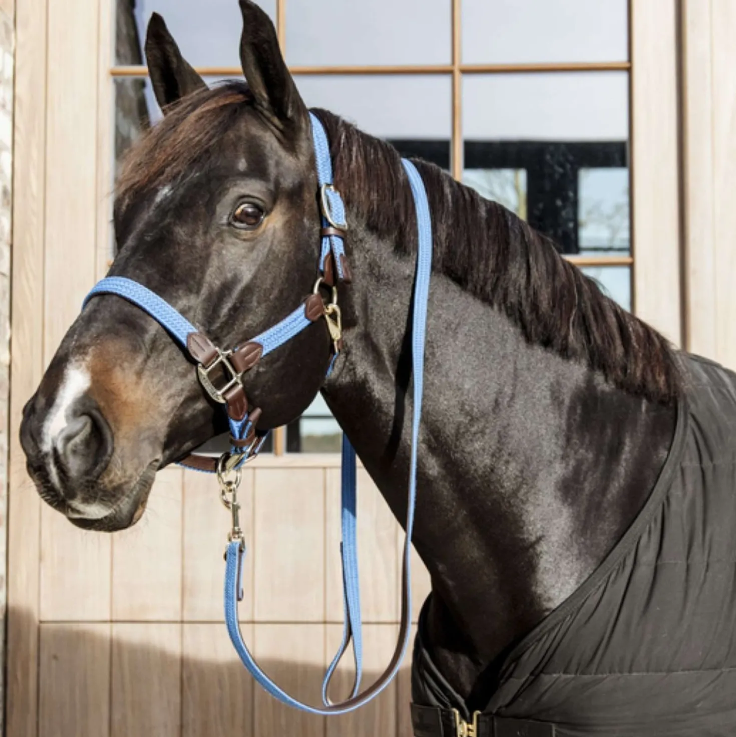 Kentucky Halster Gevlochten Nylon Lichtblauw