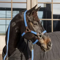Kentucky Halster Gevlochten Nylon Lichtblauw