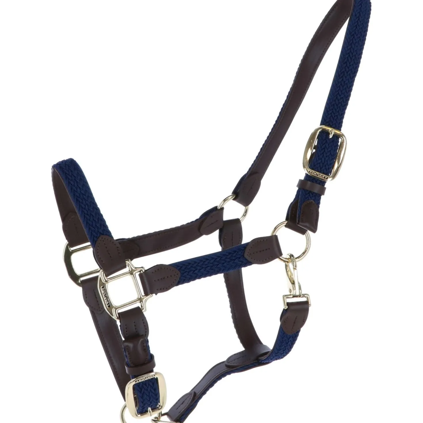 Kentucky Halster Gevlochten Nylon Navy