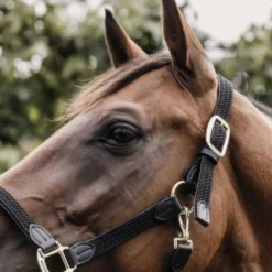 Kentucky Halster Gevlochten Nylon Zwart
